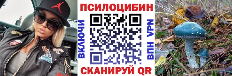 Купить где  Губкин  Галлюциногенные грибы GOLDEN TEACHER 